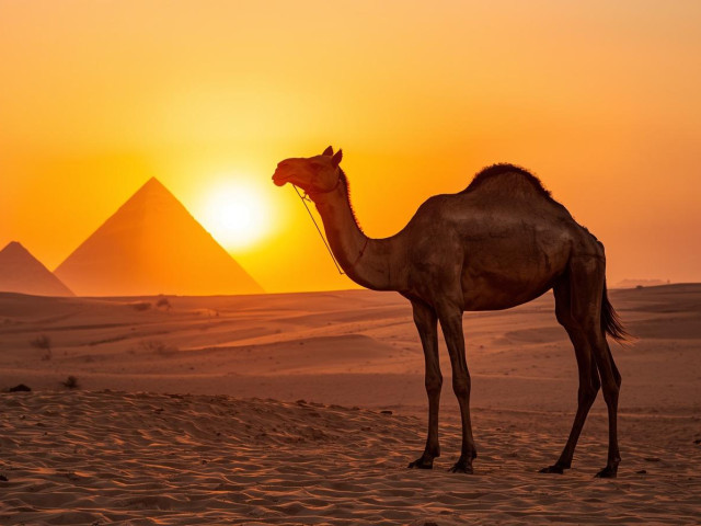 Egypt
